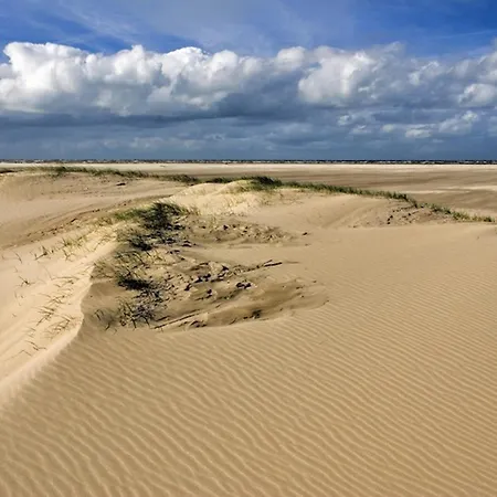 Ara Dune De Panne