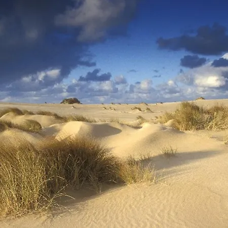 Ara Dune